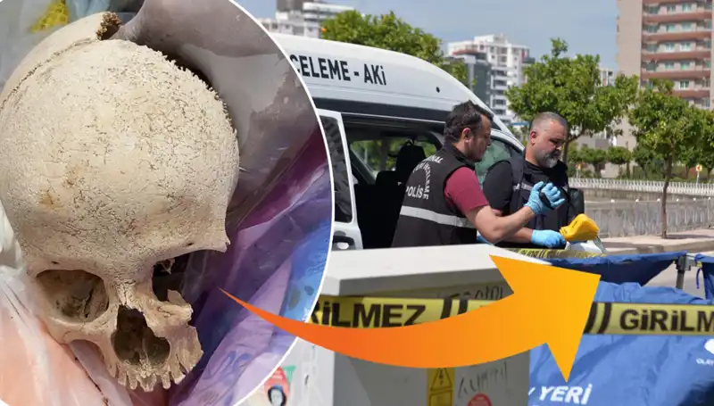 Sitenin Çöpünden Çıkan Kafatasının Gizemi ve Uzman Doktorun Gözaltına Alınması!