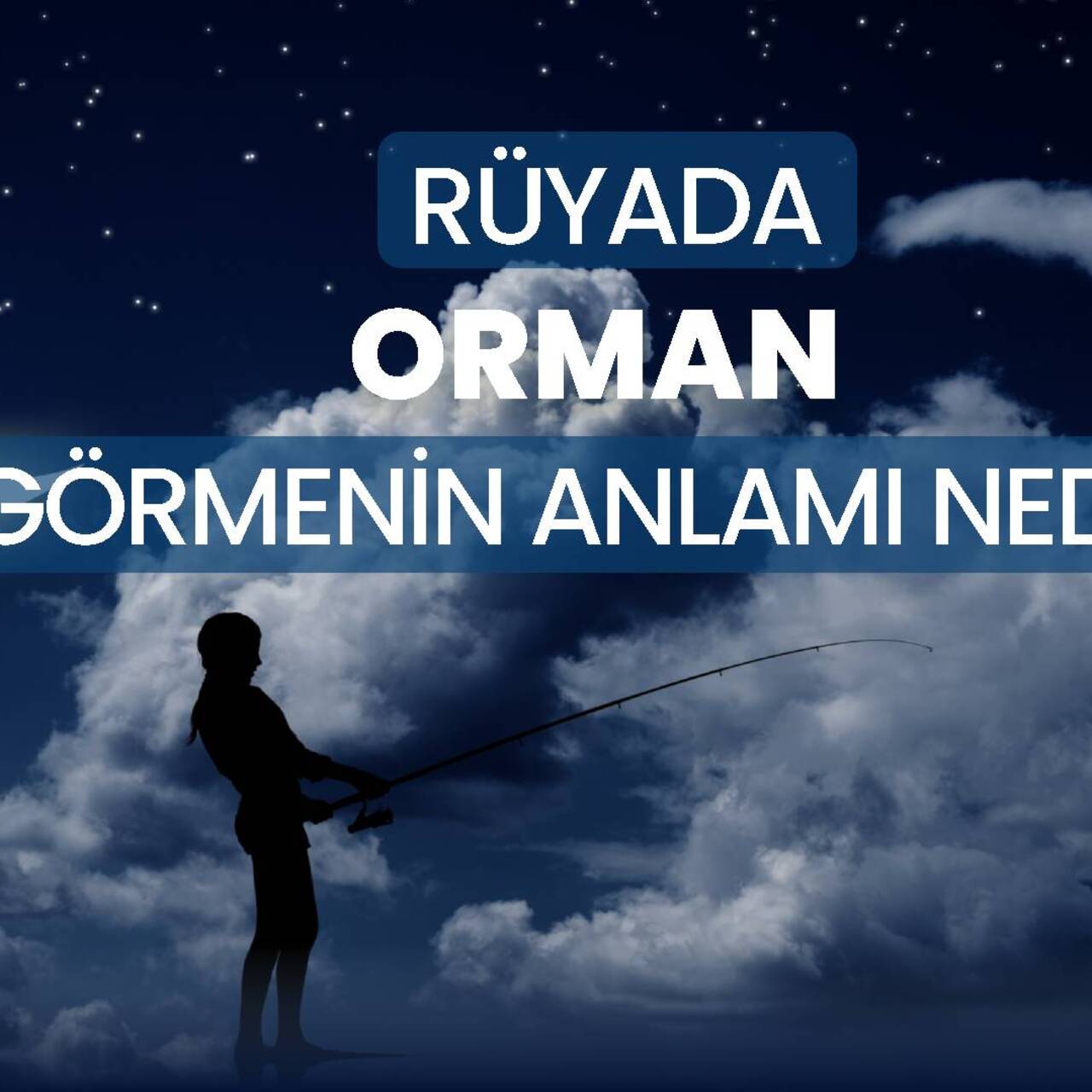 Rüyada Orman Görmek Ne Anlama Gelir? İşte Detaylar