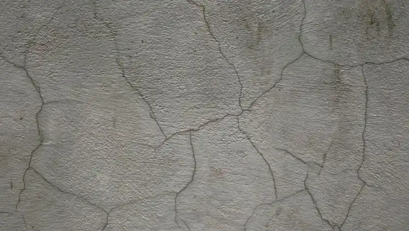 Canlı Beton: İnşaat Sektöründe Devrim Yaratacak Malzeme