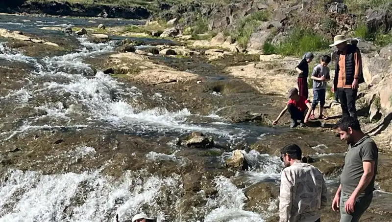 İnci Kefalinin Sıradışı Göçü: Doğa Severlerin Yeni Gözdesi Oldu
