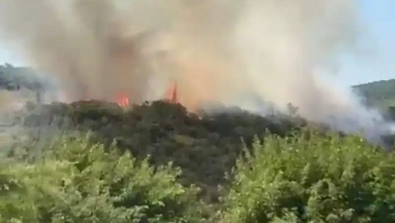 İstanbul'da Dehşet Veren Orman Yangını: Vatandaşlar Acil Tahliye Edildi