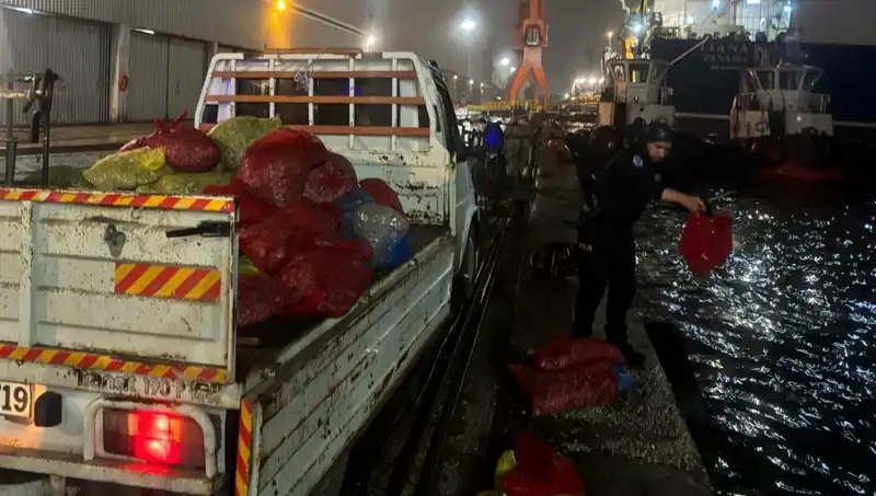 Kaçak Midye Operasyonu: İki Ton Midye Ele Geçirildi!