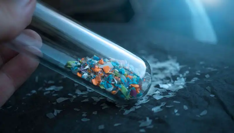 Mikroplastikler Beynimizin Derinliklerine Sızıyor: Sağlığımızı Tehdit Eden Çığır Açıcı Araştırmalar