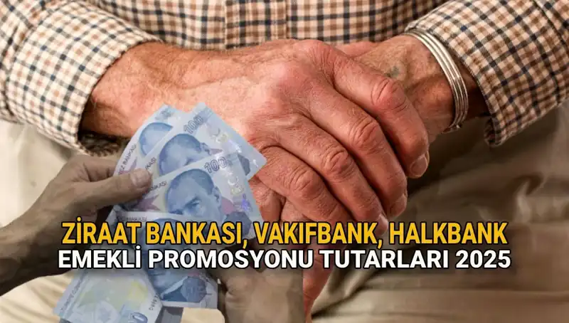 2025 Yılı İçin Emeklilere Özel Promosyon Fırsatları: Devlet Bankaları Ne Sunuyor?