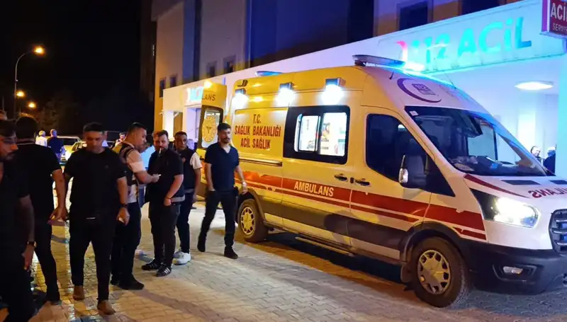 Kavgayı Ayırmaya Çalışan Kardeşin Trajik Sonu Olayın Perde Arkasını Aydınlatıyor