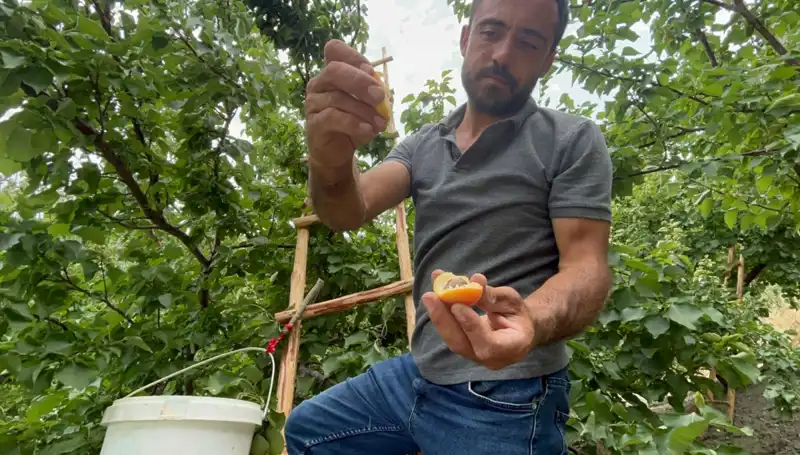 50 TL ile 70 TL Arası Harika Lezzetler: Mutlaka Denemeniz Gereken Tatlar