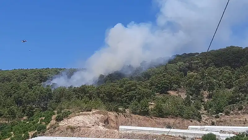 Kumluca’da Büyüyen Orman Yangını, Doğayı Tehdit Ediyor!