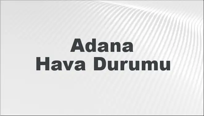 Kadın Girişimcilerin Gücü: İş Dünyasında Devrim Yaratan Hikayeler
