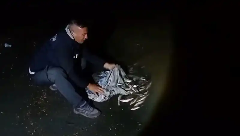 Bir Ton İncik Kefali Yakalandı: Biyoçeşitlilik İçin Umut Verici Gelişme!