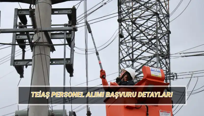 TEİAŞ Personel Alımı Başvuruları Başladı: Şartlar ve Branş Dağılımı hakkında Bilmeniz Gerekenler