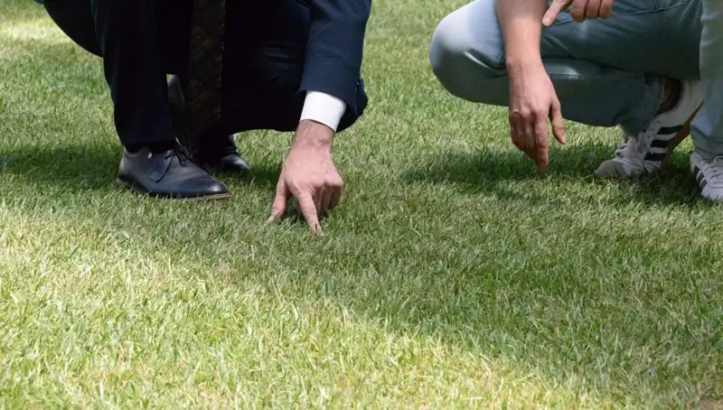 Stadyum Zeminindeki Tartışmalar Sona Eriyor: 10 Gün İçinde Hazır Olacak mı?