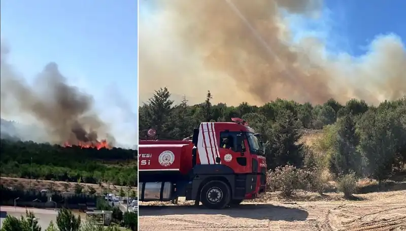 Gebze'de Orman Yangını: Yangın Söndürme Çalışmaları ve Son Durum