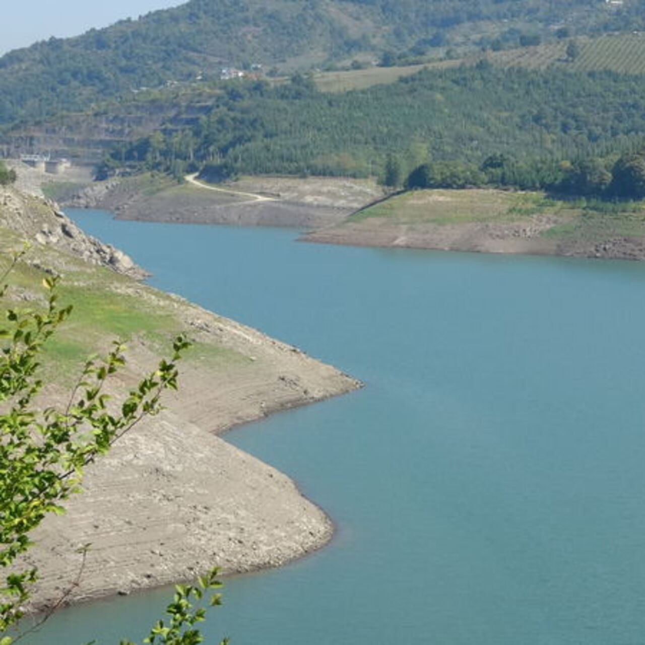 Kocaeli'nin Barajında Su Seviyesinde Endişe Verici Düşüş