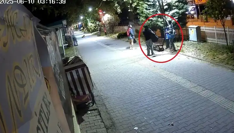 Aydınlatma Direklerindeki LED Işıkları Sökerek 300 Bin TL Zarar Verdiler