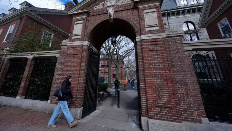 Harvard Profesörlerinin Trump Yönetimine Açtığı Dava: Hukukun Gücü Test Ediliyor