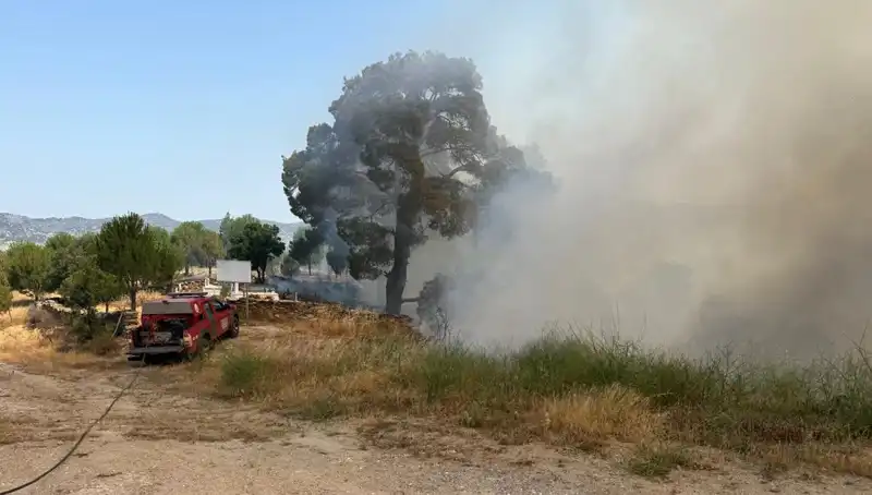 Muğla'da Orman Yangını Çıktı, Ekipler Seferber Oldu