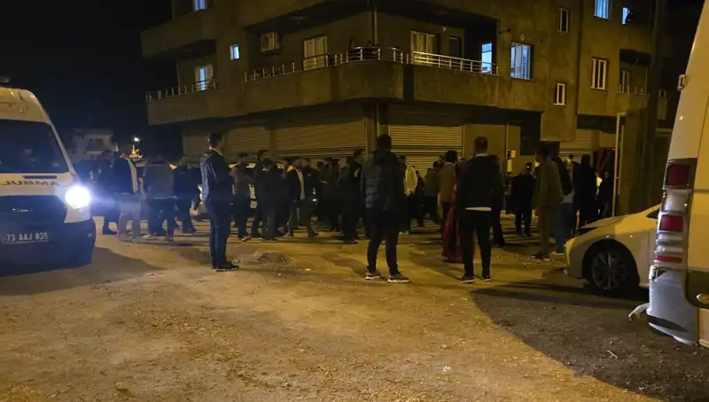 Şırnak'ta Taşlı ve Sopalı Kavga: 4 Yaralı, Olayın Perde Arkası Nedir?