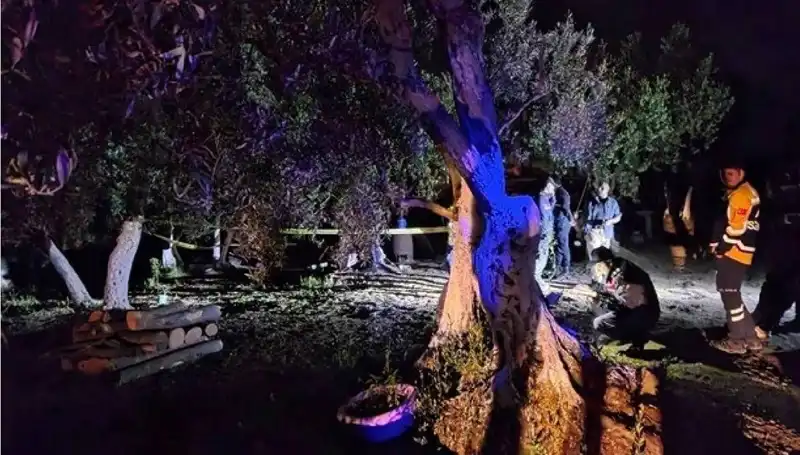 Çiftlikteki Baltalı Vahşet Olayı: Bir Tutuklama ve Derinleşen Soruşturmalar
