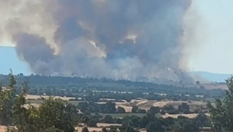 Edirne'de Komşu Orman Yangını Panik Yarattı: Şehir Duman Altında Kaldı