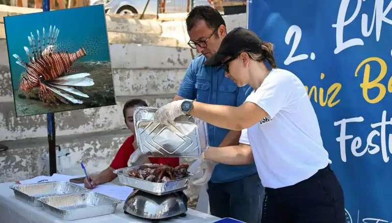 Antalya'da İstilacı Aslan Balığı Avlama Yarışması: Ekosistem Koruma Mücadelesi