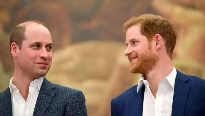 Prens Harry ve Prens William Arasındaki Küslük, Monarşiye Tehdit Oluşturuyor