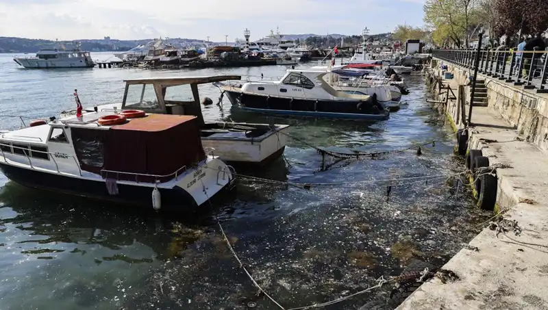 İstanbul'da Müsilaj Kabusu Tekrar Gündemde: Denizde Tehlike Hattı