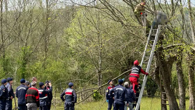 Ağaç Budarken Kalp Krizi Geçiren Adamın Ölümü, Tüm Şehirde Şok Etkisi Yarattı