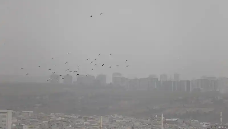 Şanlıurfa'da Toz Bulutları Hayatı Olumsuz Etkiliyor: Neler Yaşanıyor?