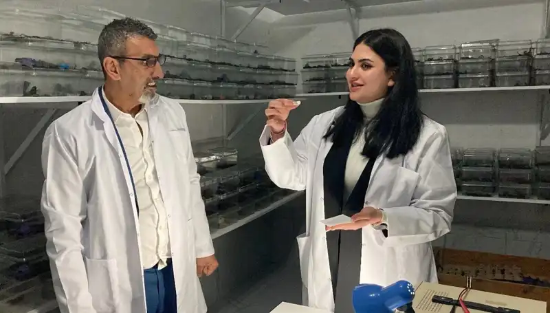 Akrep Zehri Şekerle Olan Buluşması: İlginç Bir Lezzet Deneyimi