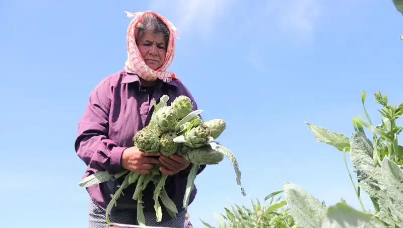 Tarım Ürünleri Fiyatlarındaki Yükseliş: Taze Sebze ve Meyveler 50 TL'yi Geçti