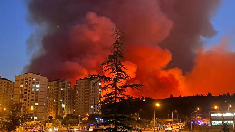 Bursa'da Yangınlar Alarm Veriyor: Şehrin Temiz Havası Tehlikede mi?