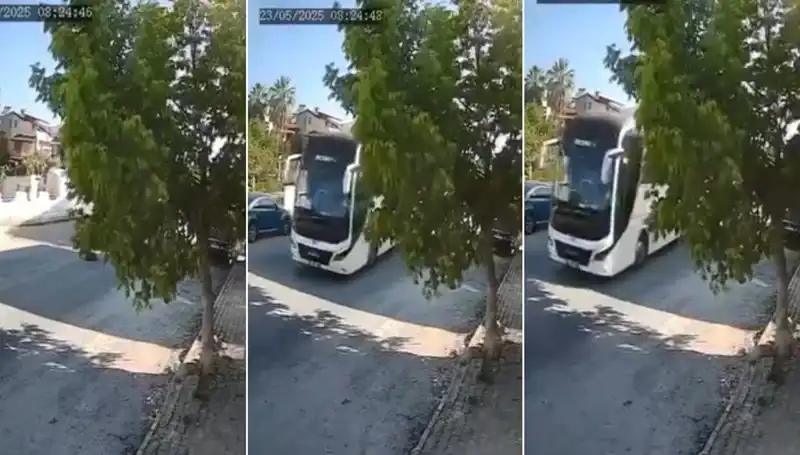 Yolda Yatan Köpeği Ezip Geçen Sürücünün İhlali Güvenlik Kamerasına Yakalandı