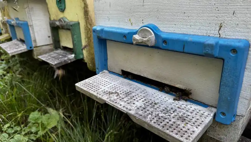Dedesinin Nasihatleriyle Tarımda Yeni Bir Dönem Başlatan Genç Girişimci