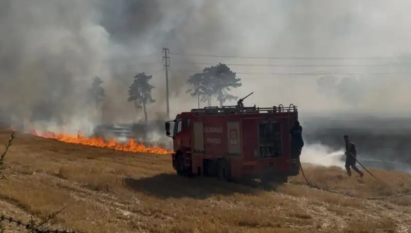 Kırklareli’nde Anız Yangını: Korku Dolu Anlar ve Etkileri