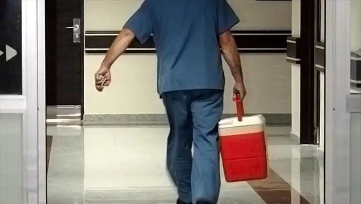 Organ Bağışı İçin Dev Adım: e-Devlet ve e-Nabız Üzerinden Başvurular Başladı