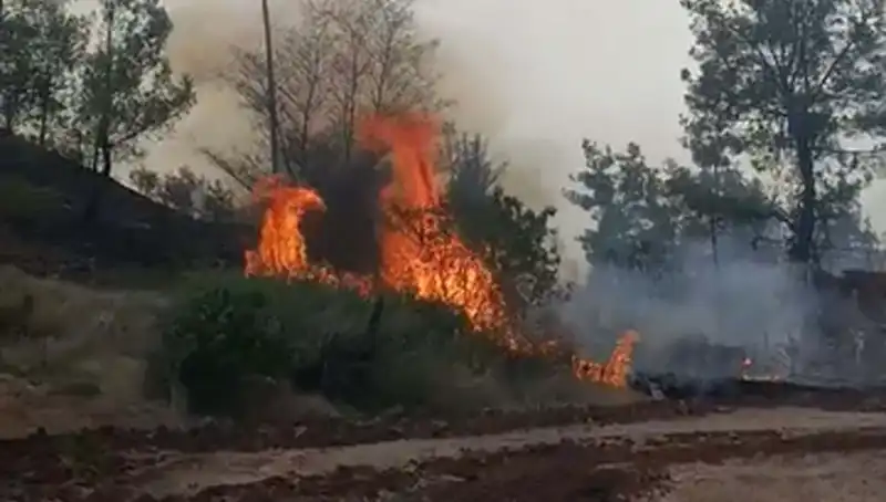 Denizli'de Çıkan Orman Yangını, 7 Hektar Alanı Kül Etti