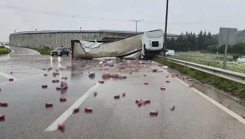 TIR Devrildi, Yüzlerce Şişe İçki Yol Kenarına Saçıldı!