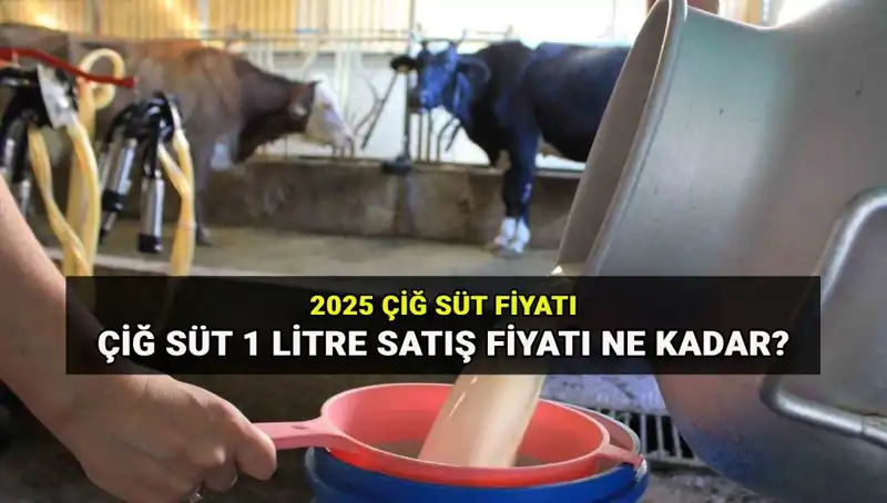 2025 Ulusal Süt Konseyi'nden Yeni Çiğ Süt Fiyatları: 1 Litre Süt Ne Kadar?