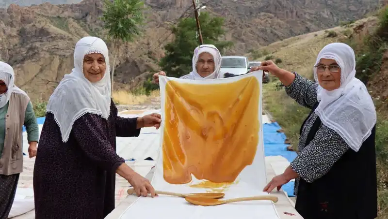 Yaz Aylarının Vazgeçilmezi: Unla Kurutulmuş Sağlıklı Atıştırmalıklar