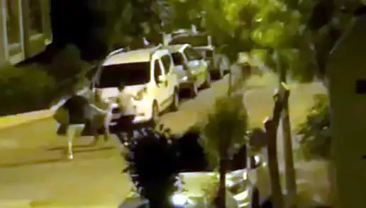 Avcılar'da Saldırıya Uğrayan Vatandaşın Kurtuluşu Tüm Gözleri Üzerine Çekti