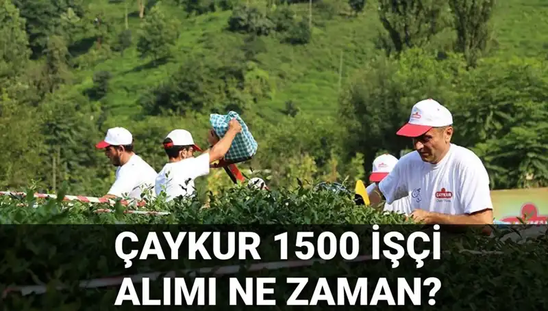 Çaykur İşçi Alımı Başvuru Tarihleri Açıklandı: Ne Zaman Başlayacak?