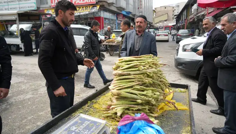 ** Dağların Şeker Mucizesi: Kanser ve Mide Hastalıklarına İyi Gelen Doğal Bir Hazine**