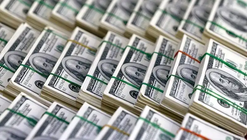 Doların Hızla Yükselişi: Ekonomistler Uyardı, Piyasalar Tedirgin!