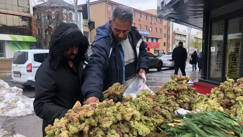 Kendiliğinden Yetişen Şifa Kaynağı: Kanserle Mücadelede Yeni Umut