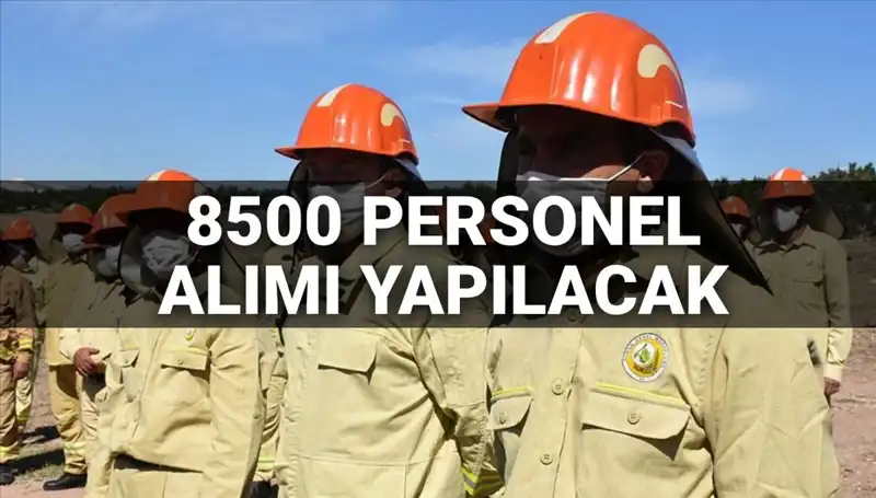 2025'te Tarım ve Orman Bakanlığı 8500 Personel Alımı: Tarih ve Şartlar Açıklandı!