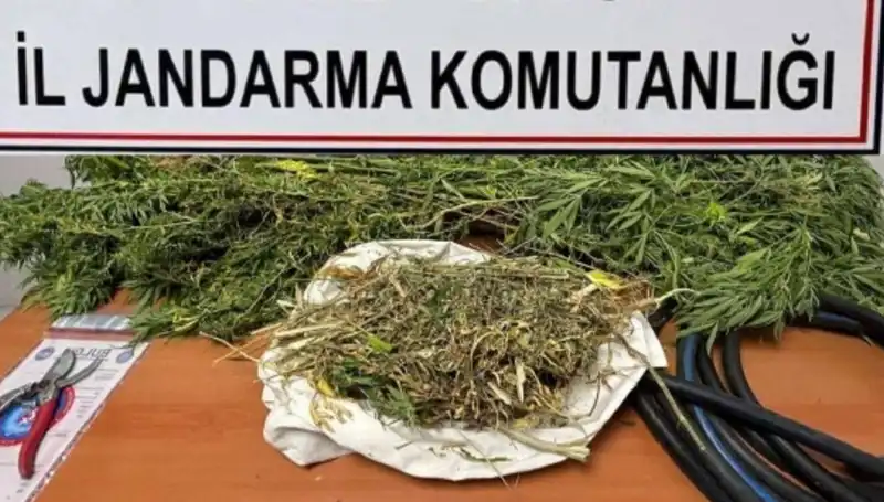 Niğde'de Uyuşturucu Operasyonu: Büyük Yakalama ve Şaşırtan Detaylar