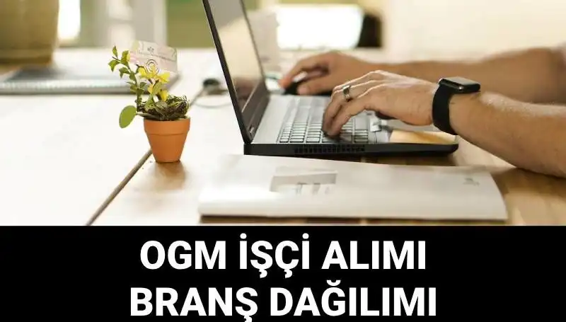 Orman Genel Müdürlüğü’nden 4500 Geçici İşçi Alımı İlanı: Başvuru Süreci ve Şartlar