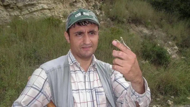 Yeni Keşfedilen Böcek Türü, Bilim İnsanı Tarafından Eşinin İsmiyle Anıldı