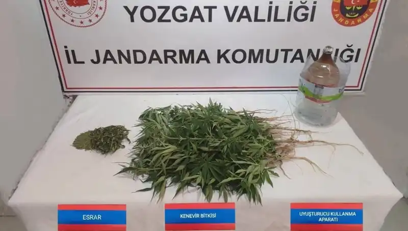 Yozgat'ta Yüksek Miktarda Kenevir Ele Geçirildi, Olayda Şok Eden Ayrıntılar Ortaya Çıktı