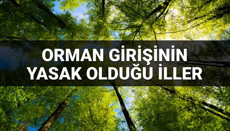 Orman Girişine Yasaklanan İller: 2025’te Hangi Bölgelere Giremeyeceksiniz?